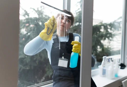 Nettoyage de vitres intérieures et extérieures à la Chapelle-du-Noyer